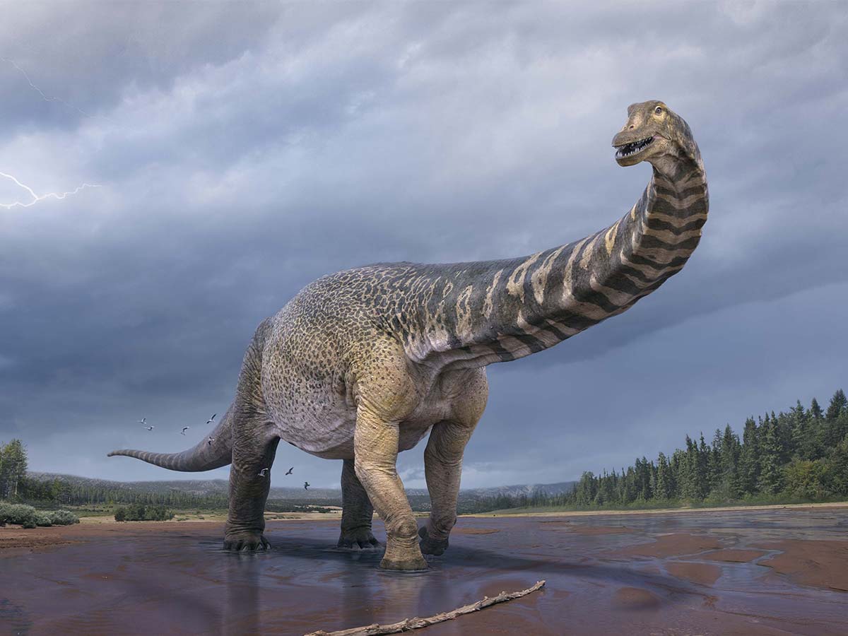 in-the-big-league-where-you-can-see-the-largest-dinosaur-ever-found-in