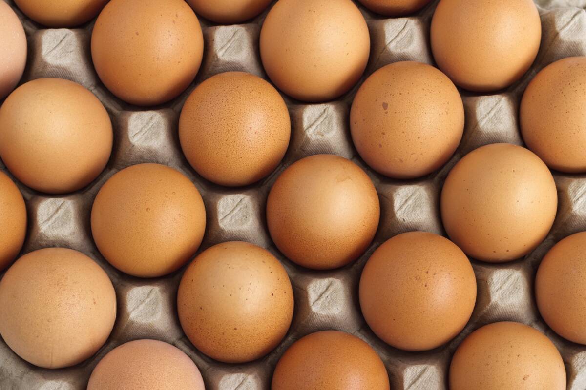 What's behind Australia's egg shortage