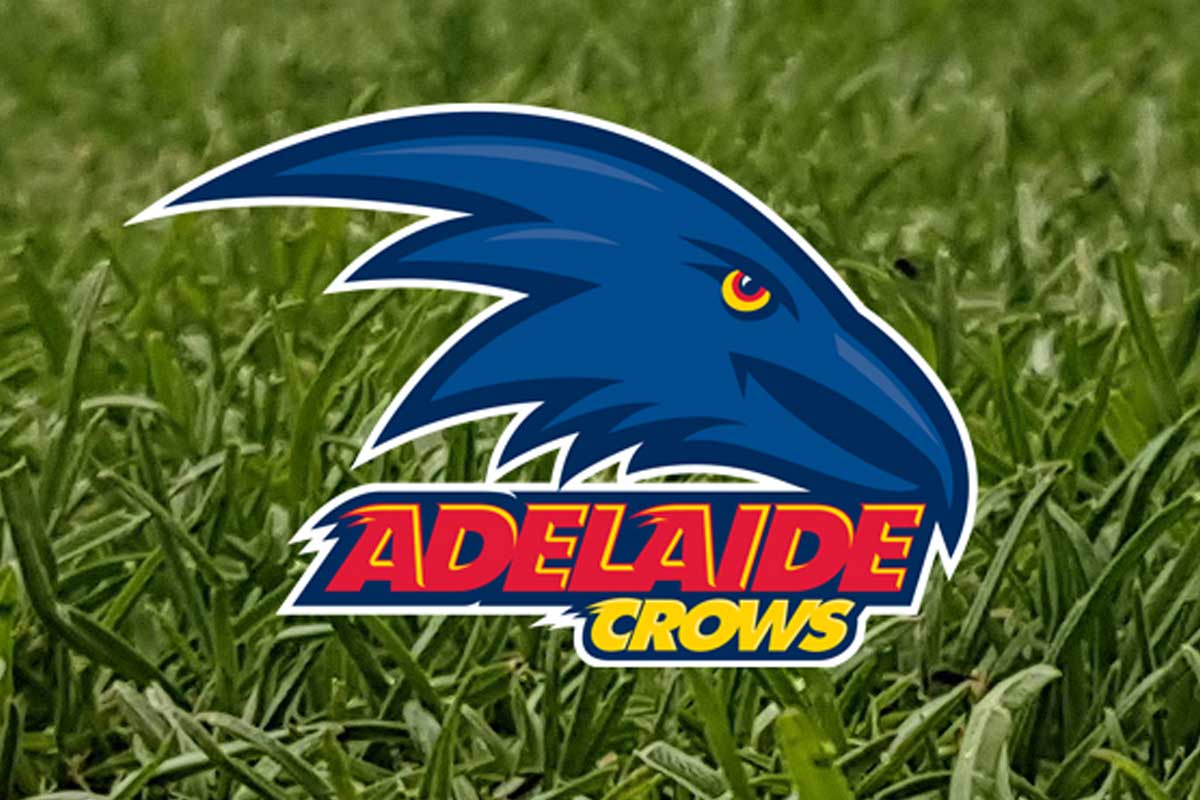 Crows cleared over 2018 pre-season training camp