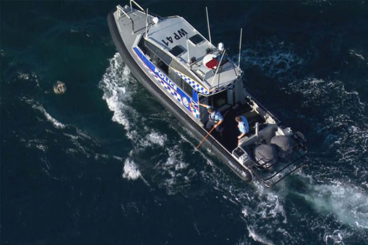 Why there's 'no point' hunting down shark behind fatal Sydney attack