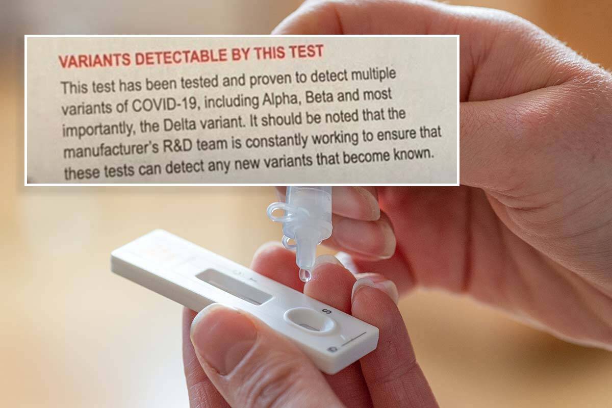 Article image for Expert clarifies after confusion over whether all rapid tests detect Omicron