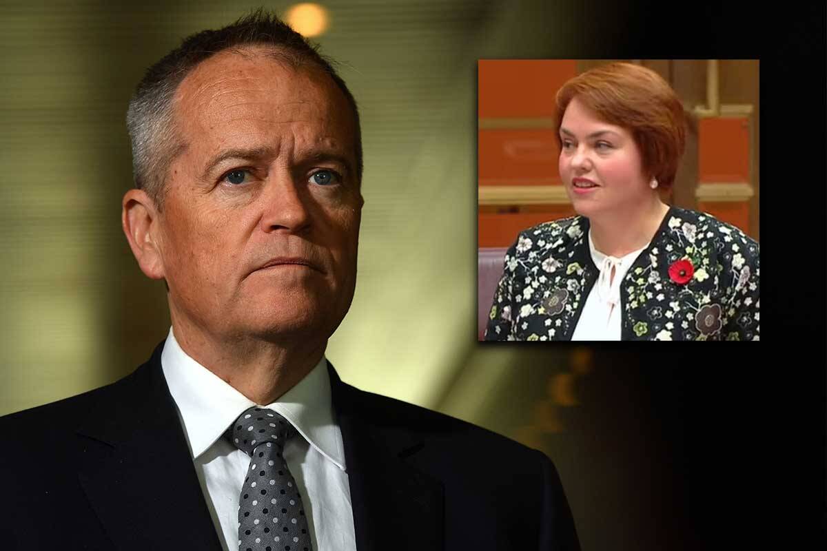 Article image for A shattered Bill Shorten pays tribute to Kimberley Kitching