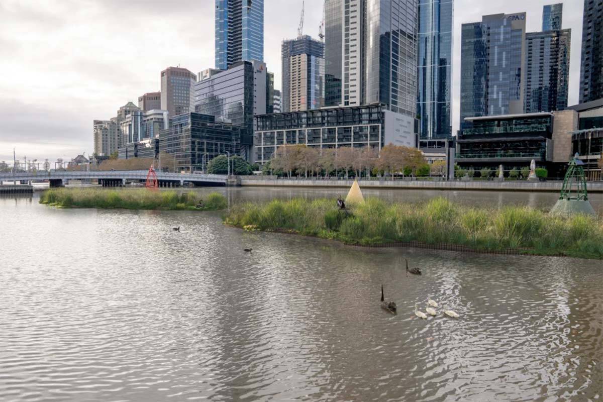 Article image for City floats $40 million plan for wetlands on the Yarra