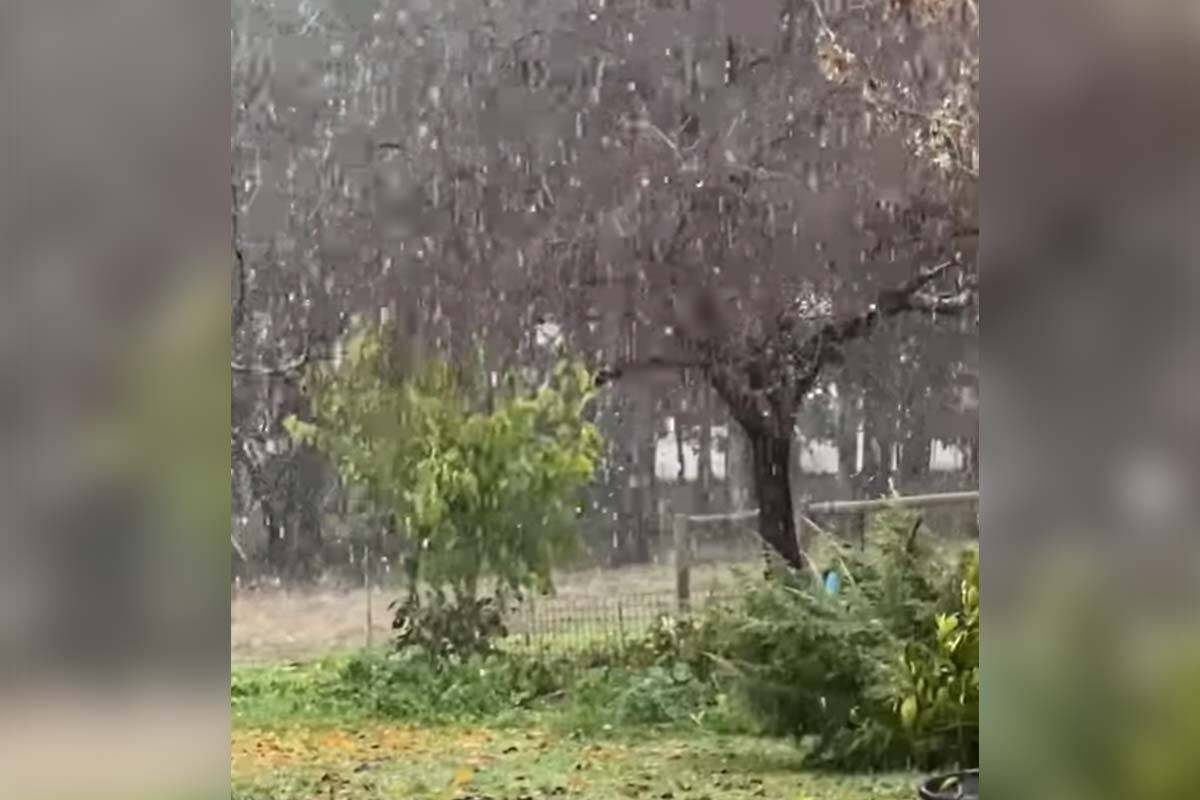 Article image for VIDEO: Snow in Beechworth yesterday