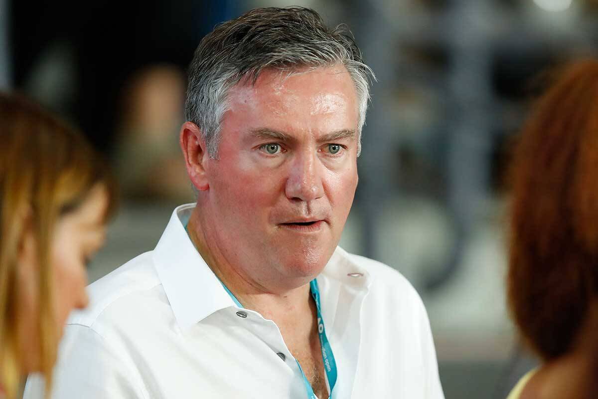 Article image for Eddie McGuire calls for domestic travel re-think