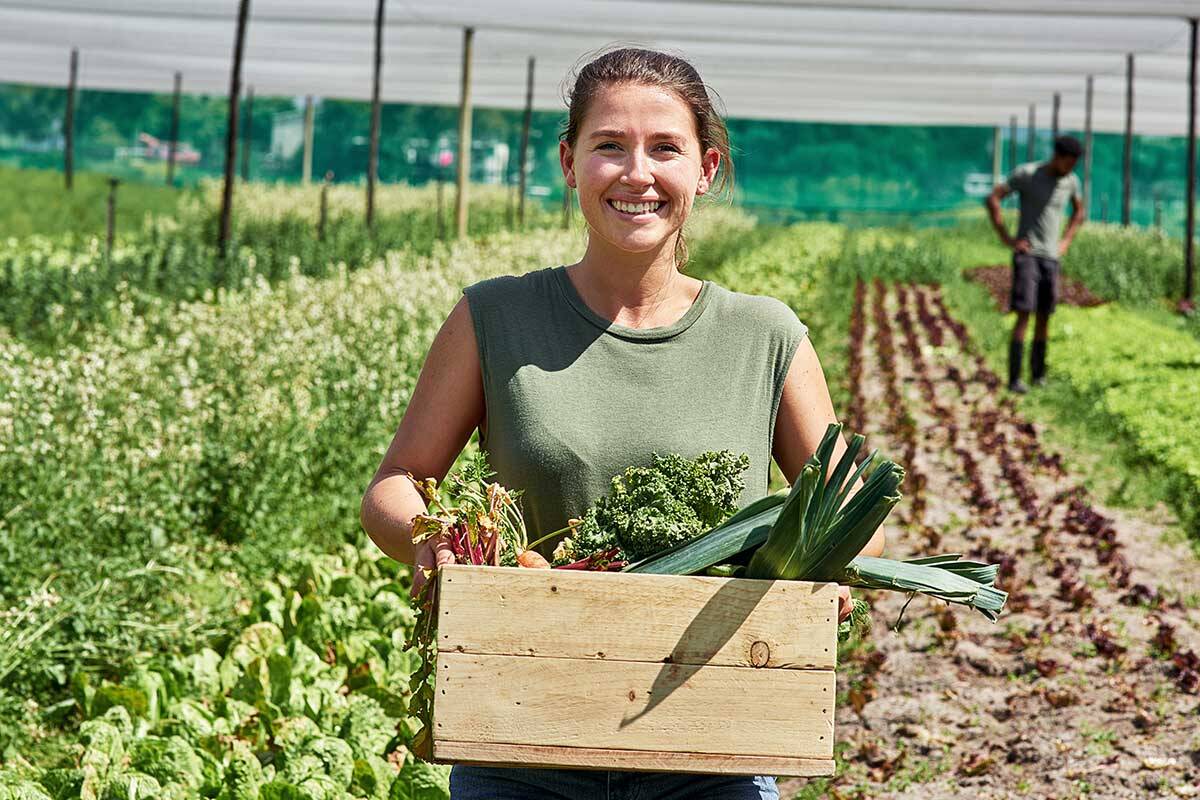 Article image for How school-leavers can address Australia’s farm worker shortage