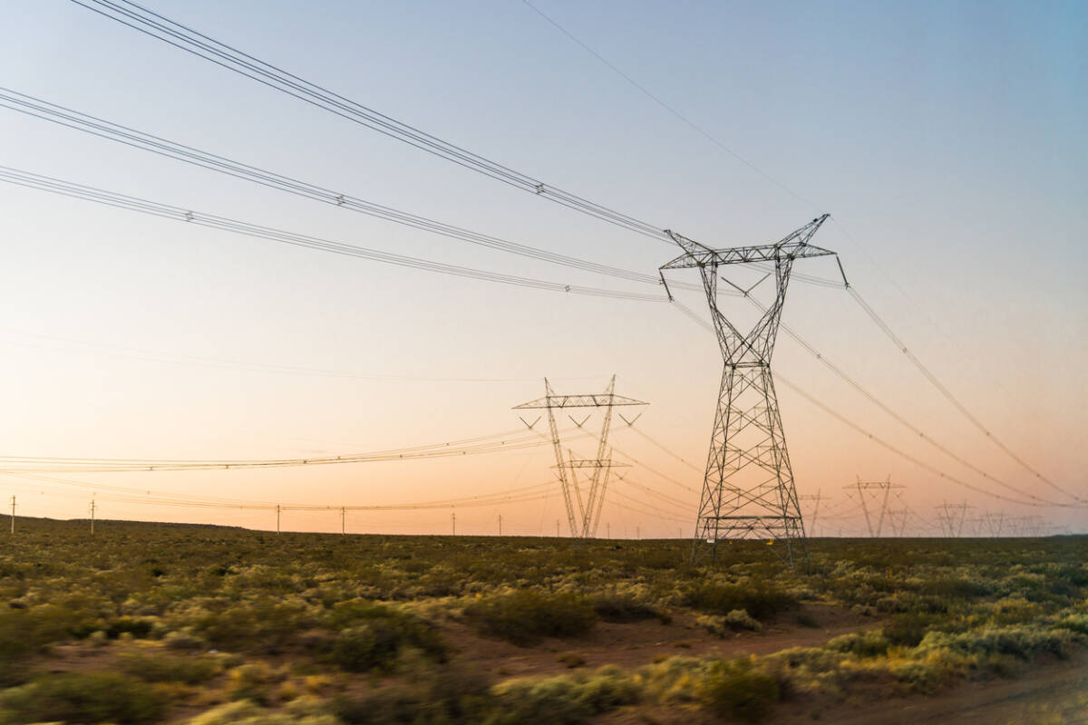 Article image for Farmers call for transmission lines to be placed underground