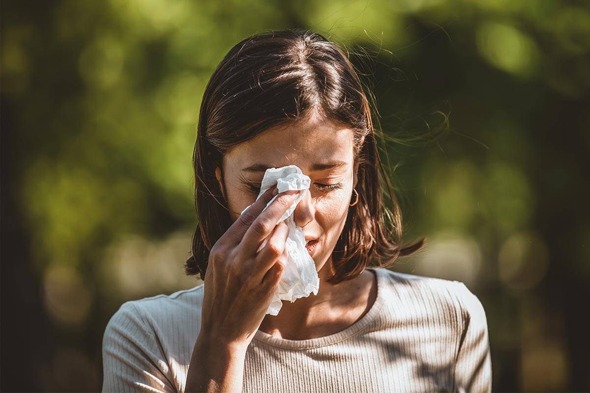 Article image for Why Melbourne is the world’s hayfever capital