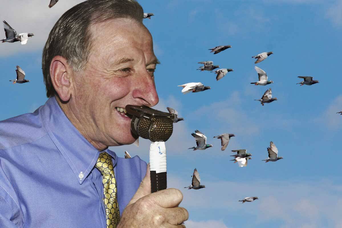 Article image for RUMOUR CONFIRMED: Australia’s most well-known pigeon fancier enjoys big race win!