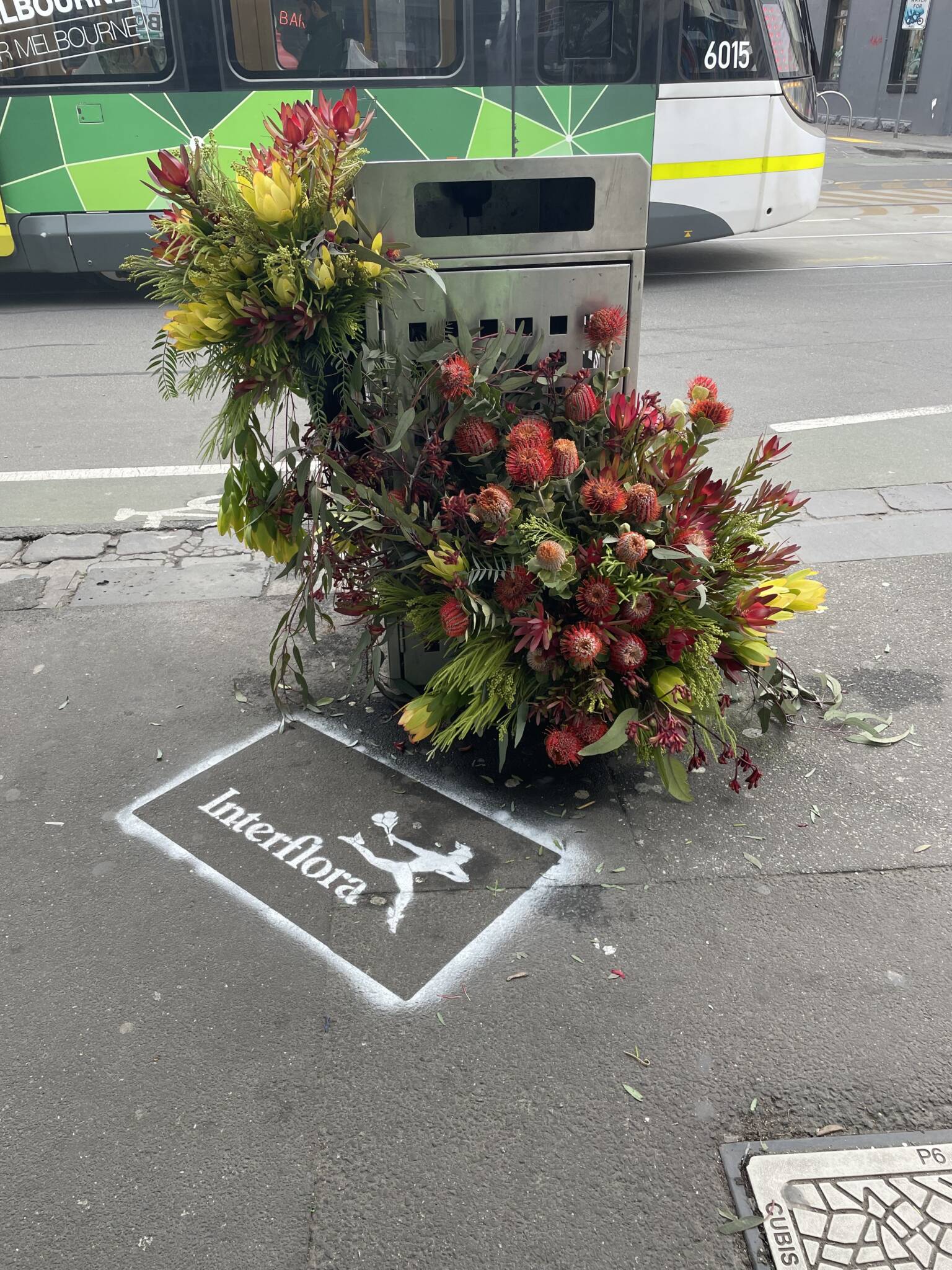 Fitzroy streets given makeover to mark the first day of spring!