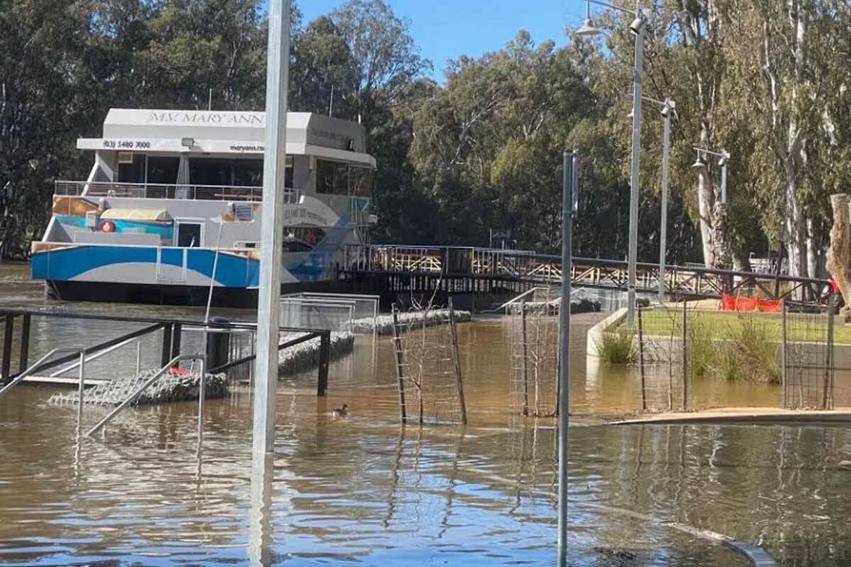 Article image for Why there is concern about the Murray River bursting its banks at Echuca