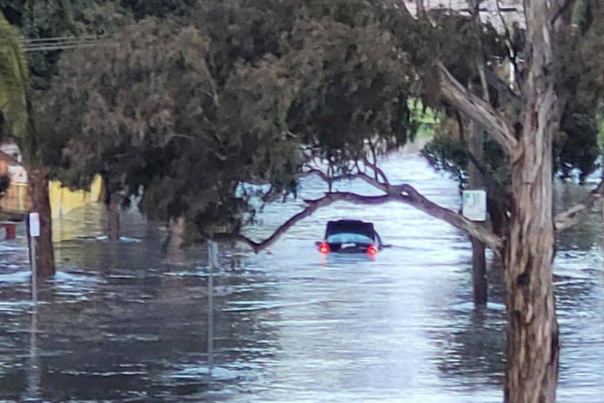 Article image for The important message from the SES as floodwaters rise