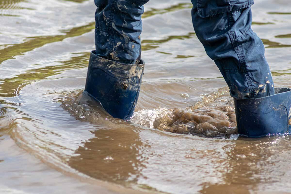 Article image for The tough conversation Australia needs to have about building on flood plains