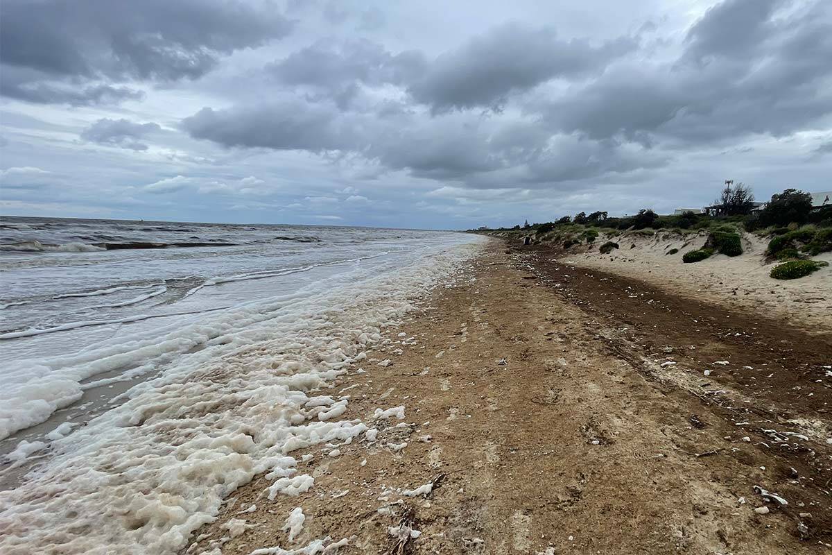 Article image for ‘Stay out of the bay’: EPA boss issues beach warning