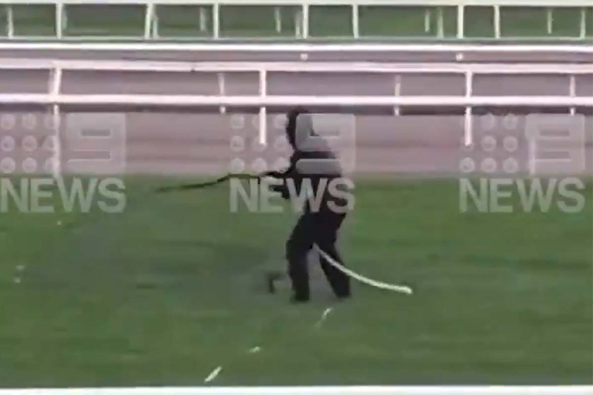 Article image for Track attack: Man pours oily sludge on Flemington Racecourse