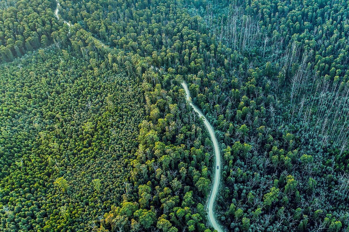 Article image for Hundreds of millions in promised federal funding for Yarra Ranges roads pulled