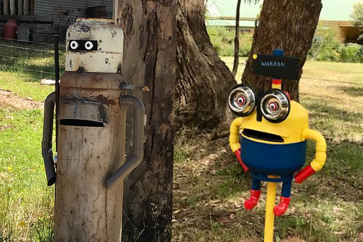 Article image for The left-field letterboxes ‘randomly’ popping up in Victoria’s west