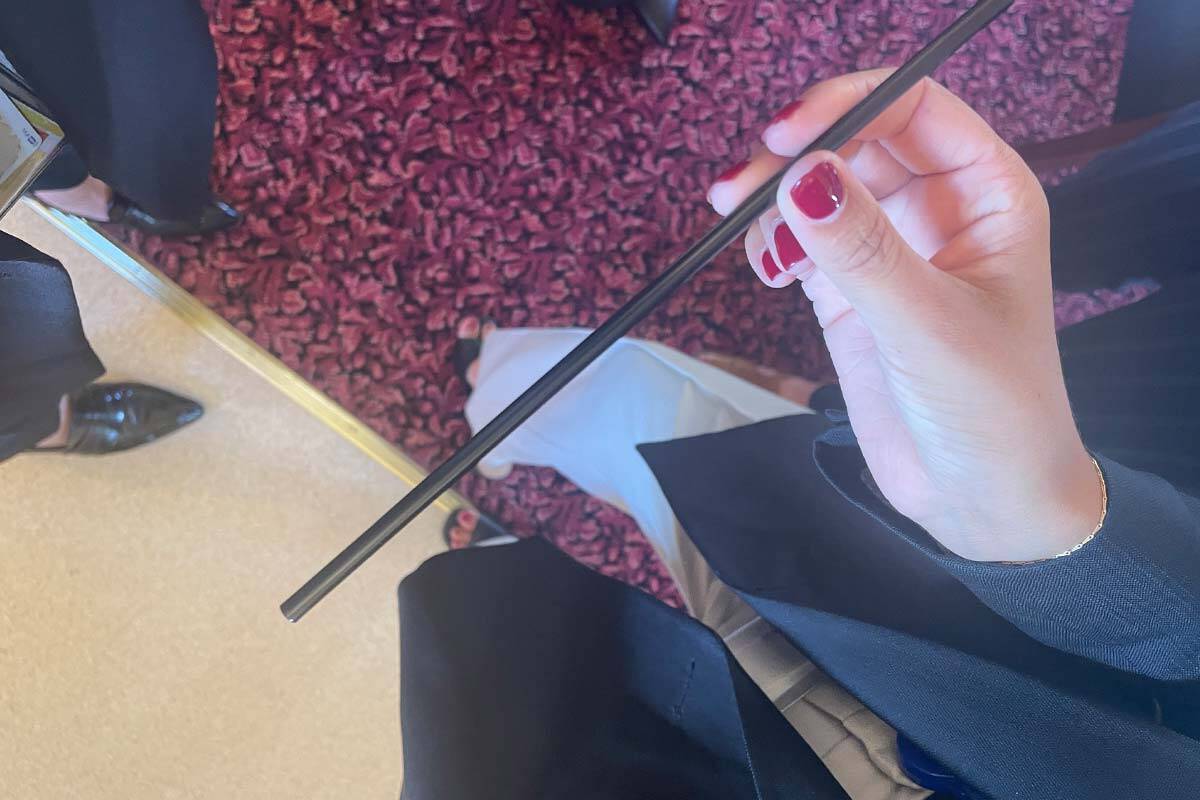 Article image for Banned plastic straws spotted at State Parliament