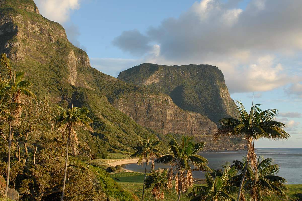 Article image for Fungus shuts down most of Lord Howe Island