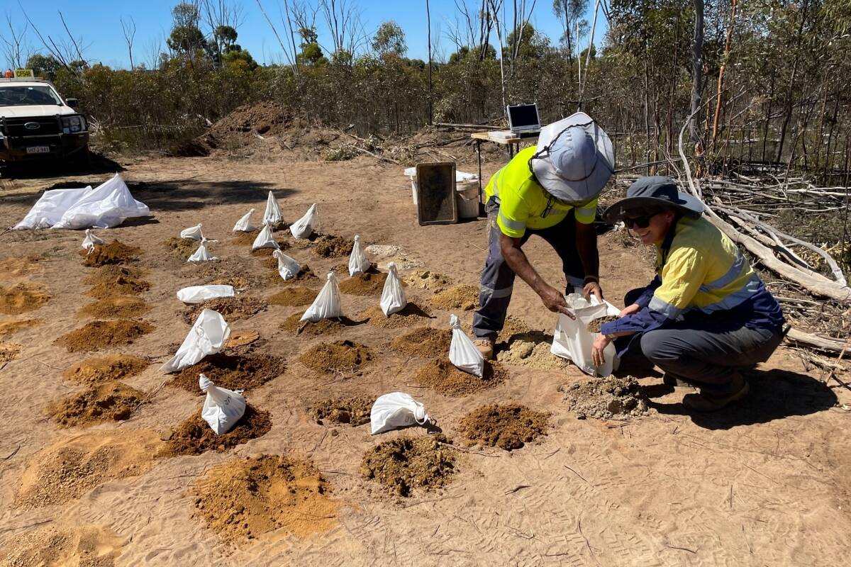 Article image for Dynamic Metals: Now this is rare – a brand new nickel sulphide discovery!