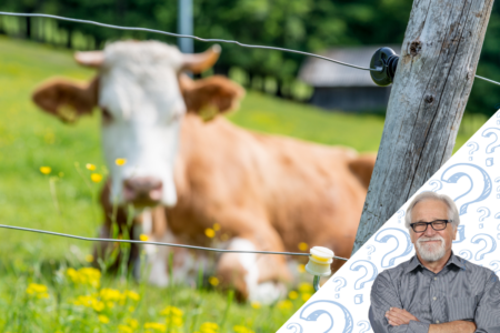 Ask Neil Anything: Can a cow smell an electric fence?