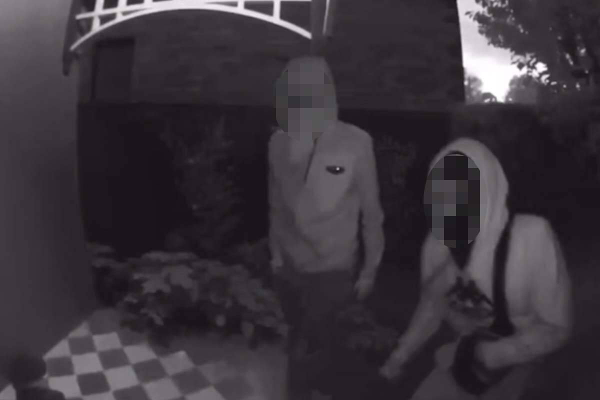 Article image for Neighbour shares footage after terrifying Brighton break-in