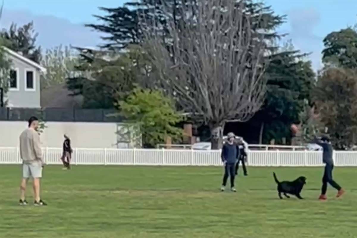 Article image for Collingwood star spotted kicking footy with kids only hours before preliminary final