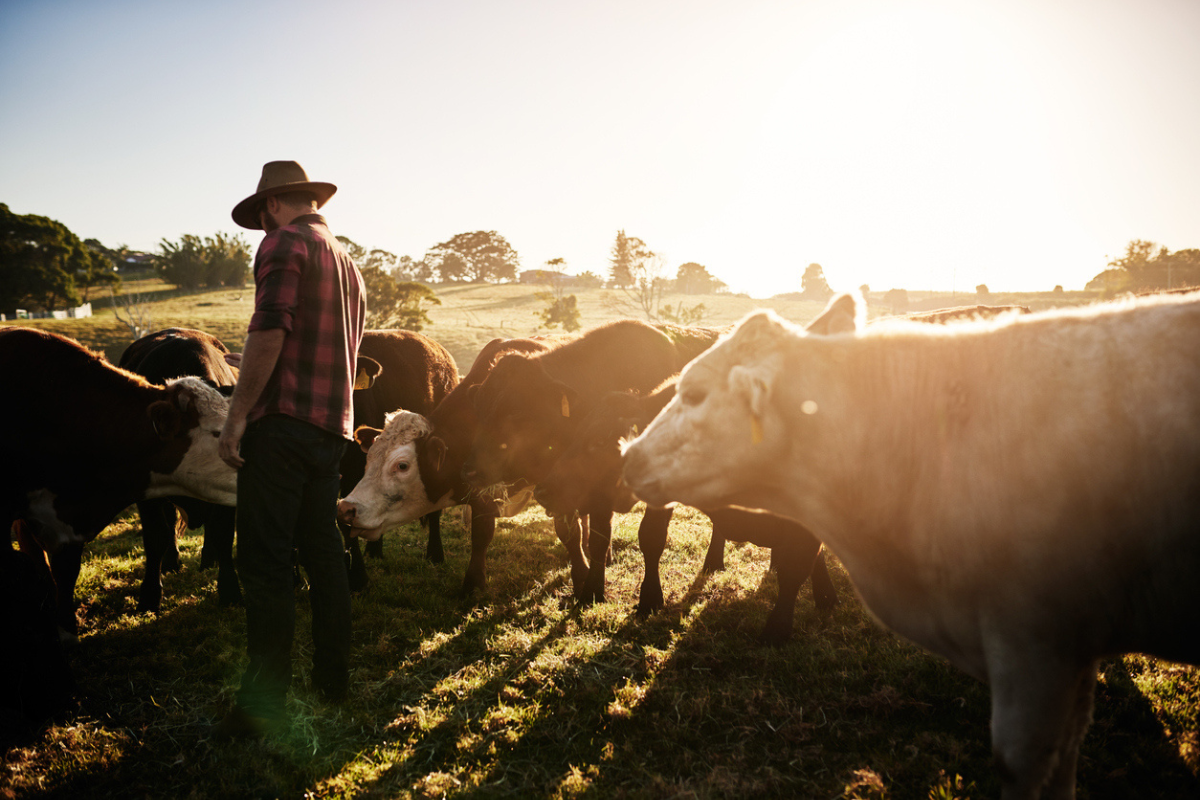 Article image for ‘Volatile global times’: Farmers warned of potential grim 2023-2024 financial year