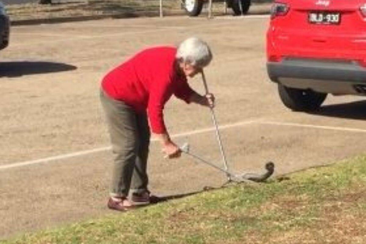 Article image for The 80-year-old still working as a snake catcher!