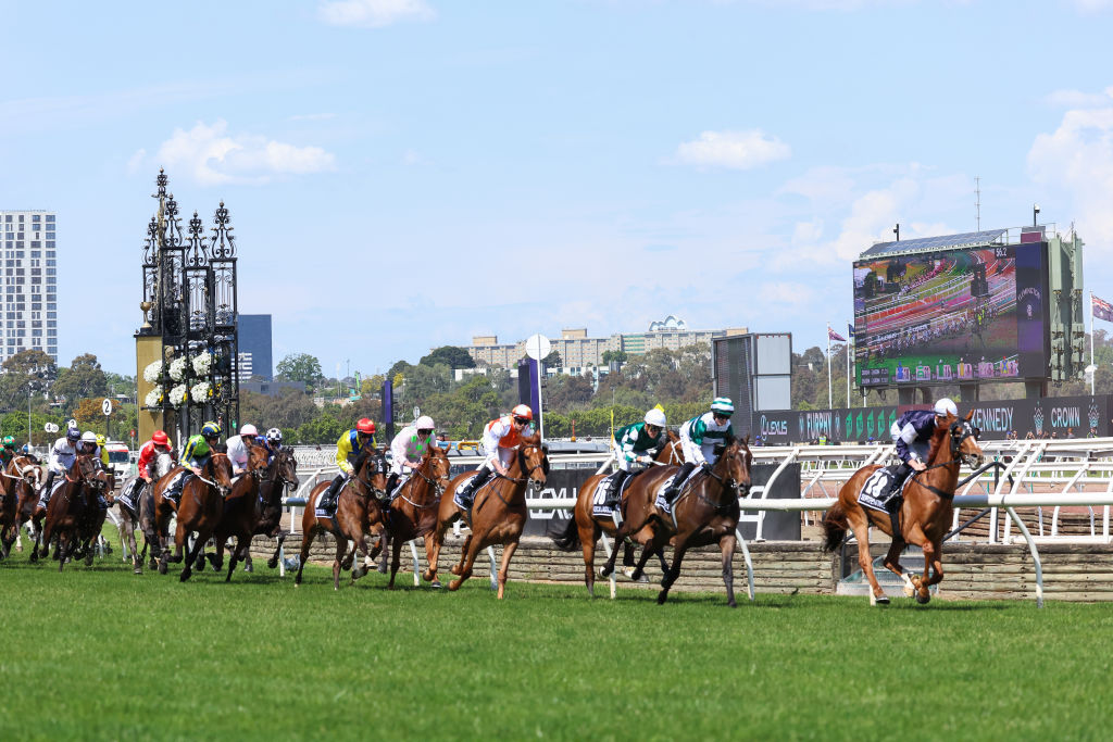 Without A Fight Wins 2023 Melbourne Cup