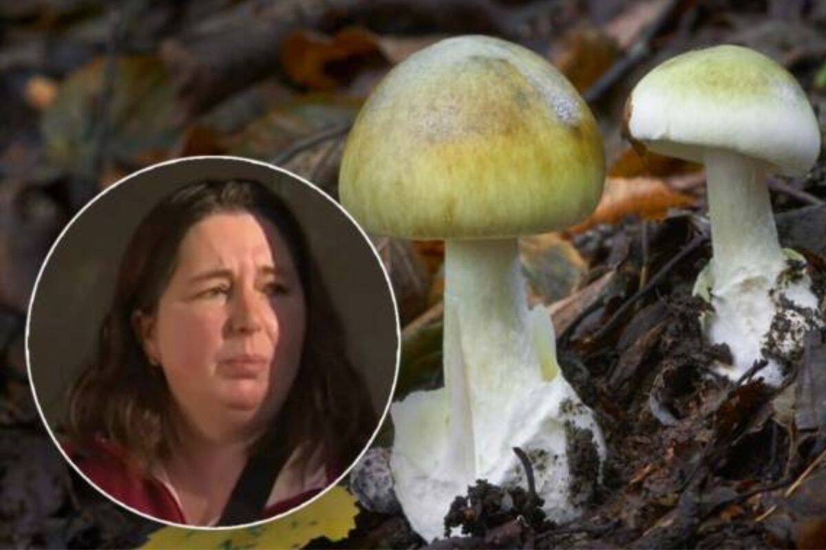 Article image for Police detective discusses the latest on the fatal poison mushroom arrest