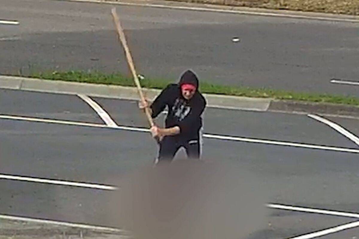 Article image for Man suffers ‘deeply disturbing’ assault and attempted dog theft in Melbourne’s south-east