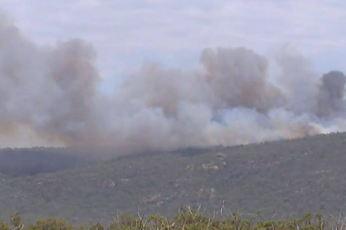 Article image for The latest update on the ‘devastating’ fire burning through the Grampians National Park