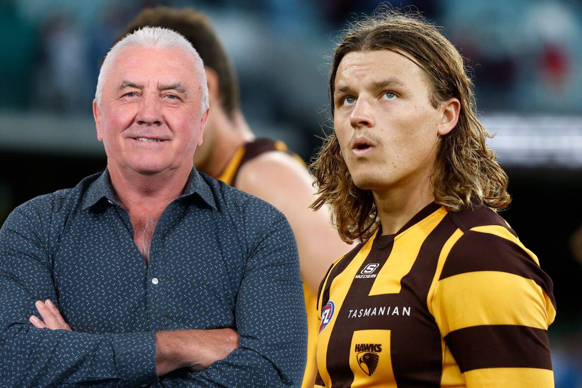 Article image for Tony Shaw urges Hawthorn to seek answers on Jack Ginnivan umpiring