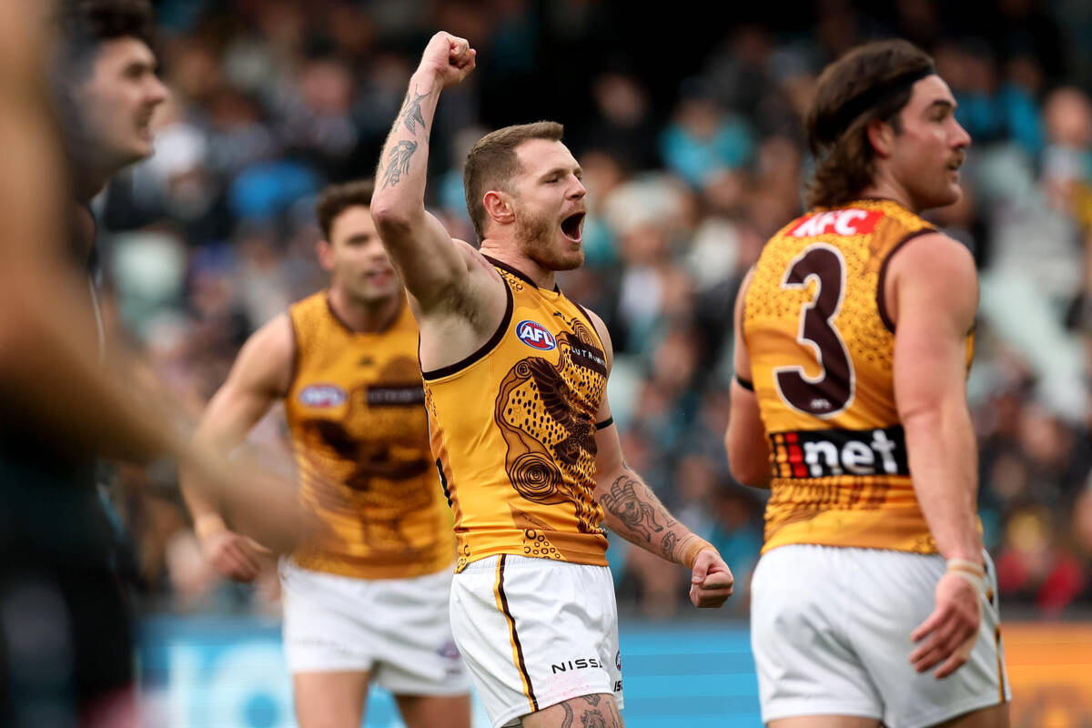 Article image for Hawthorn’s Hardwick finding forward role ‘refreshing’ in season 2024