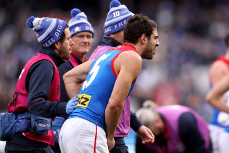 Collingwood players were concerned about Petracca after he returned to ground