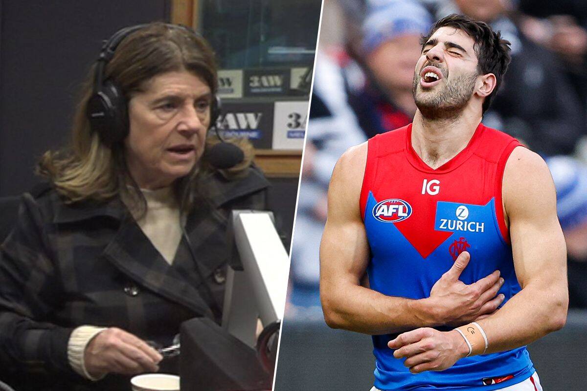 Article image for Caroline Wilson: Christian Petracca returning to the ground was an ’embarrassment for the game’
