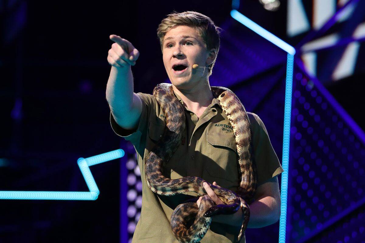 Article image for ‘Suck it up’: Peter Ford thinks Robert Irwin’s Logie chances could be damaged after cartoon controversy