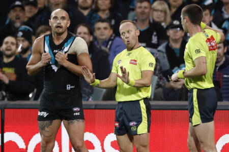 ‘It’s not a popularity contest’: Retiring umpire ‘Razor Ray’ on the role of AFL umpires