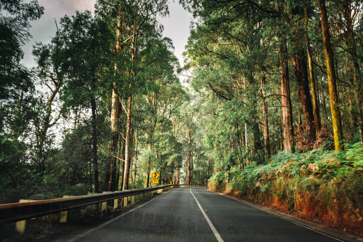 Article image for WATCH: Resident searching for answers as cars go airborne on dangerous Yarra Valley road