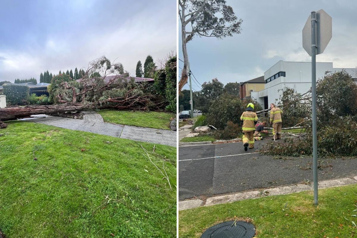 Article image for Melbourne’s wild winds claim life as damaging conditions sweep state