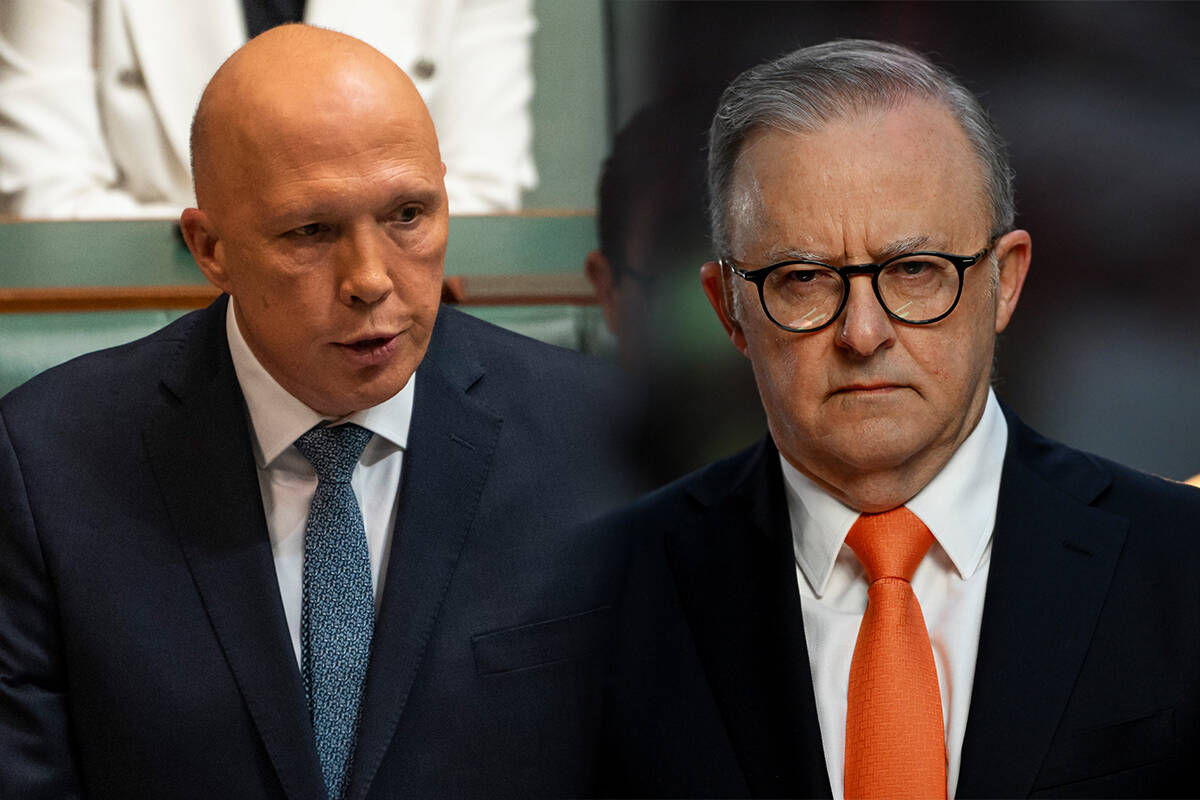 Article image for Peter Dutton is currently preferred leader over Anthony Albanese according to latest poll