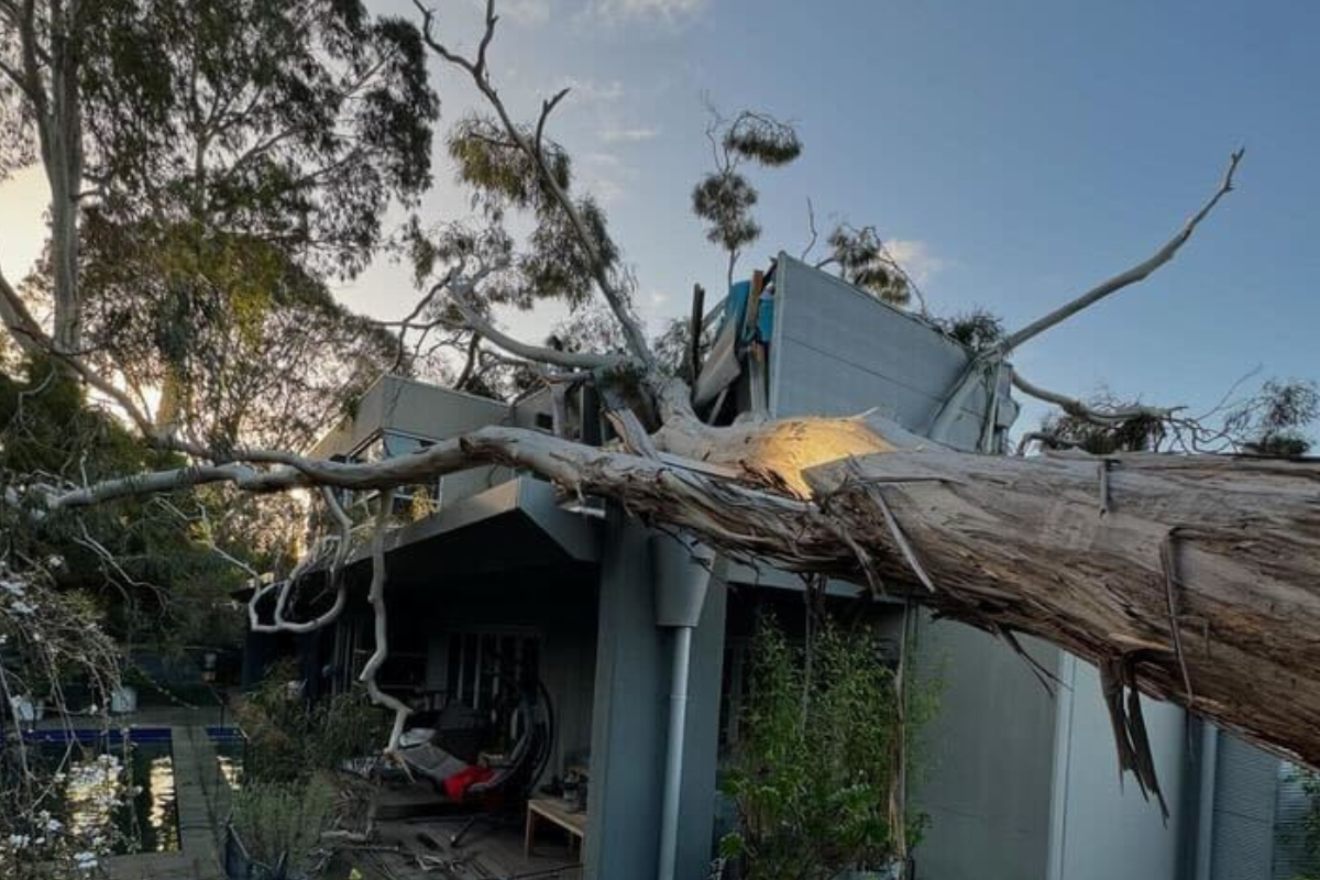 Article image for Why over 30,000 Victorians are still without power