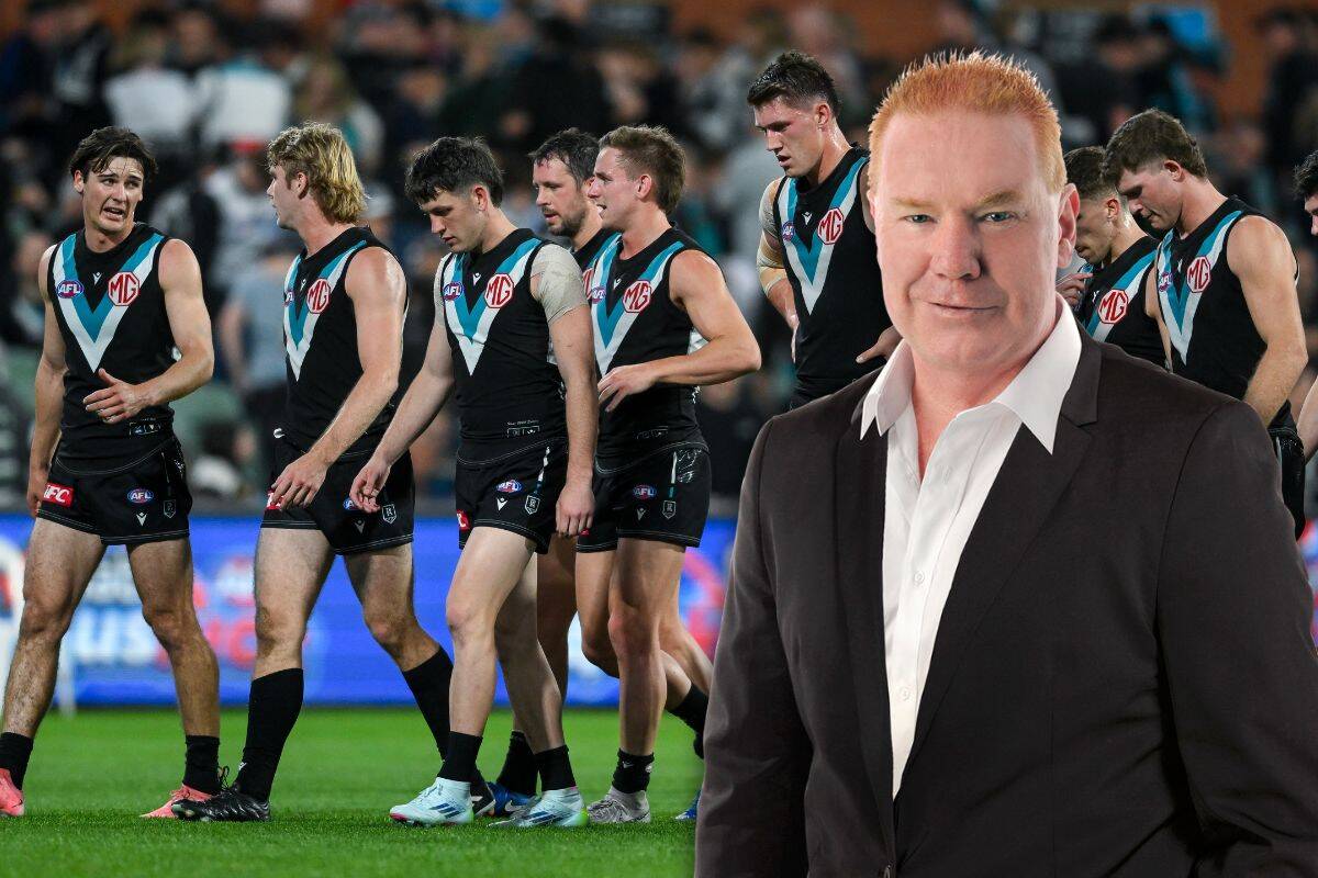 Article image for ‘You reap what you sow’: Brad Hardie’s worrying intel on several Port Adelaide players