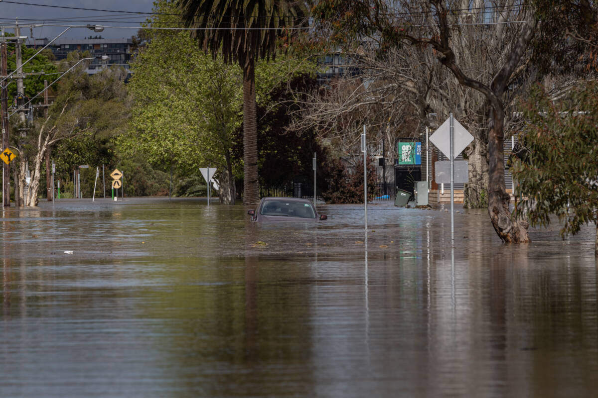 Article image for Melbourne Water responds to stinging criticism from Bill Shorten