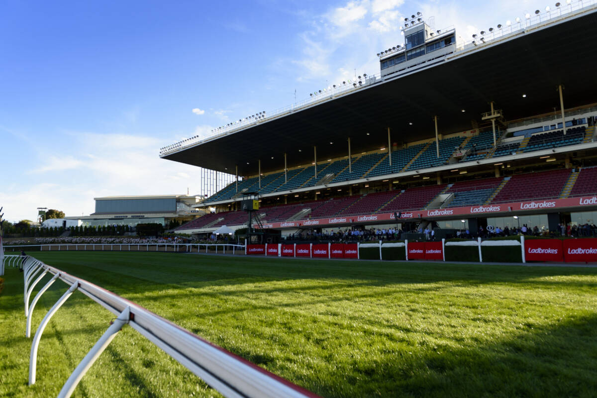 Article image for Star jockey thrown off horse ahead of Cox Plate during dramatic Moonee Valley incident