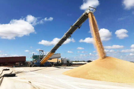 “We don’t take this decision lightly”: Grain workers flag industrial action during bumper harvest