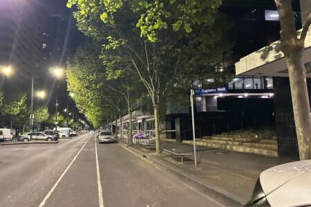 ‘Disgusting bit of footpath’: Docklands protestors return as concern grows over disruption in area