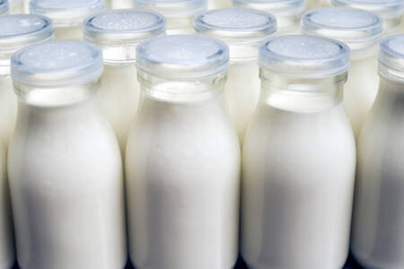 Dairy farmers concerns over fall in supermarket milk prices