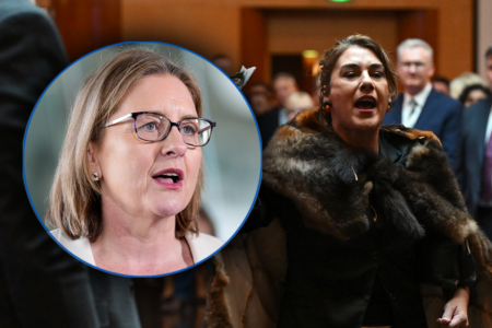 Premier Jacinta Allan thinks Senator Lidia Thorpe’s outburst was ‘deeply disrespectful’